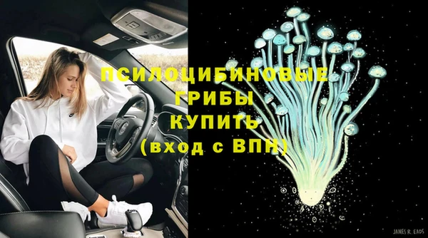 ECSTASY Аркадак